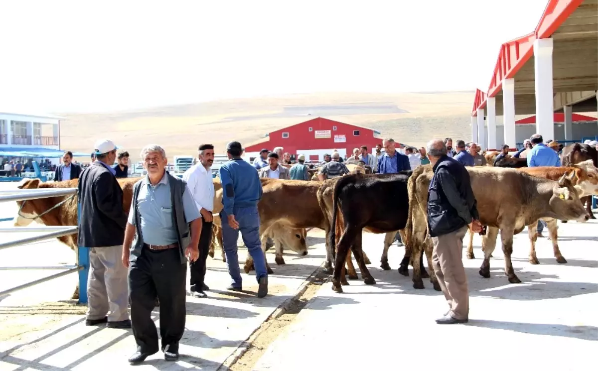 Başkan Akpunar: "Kurbanlık Fiyatlarında Yükselme Söz Konusu Değildir"