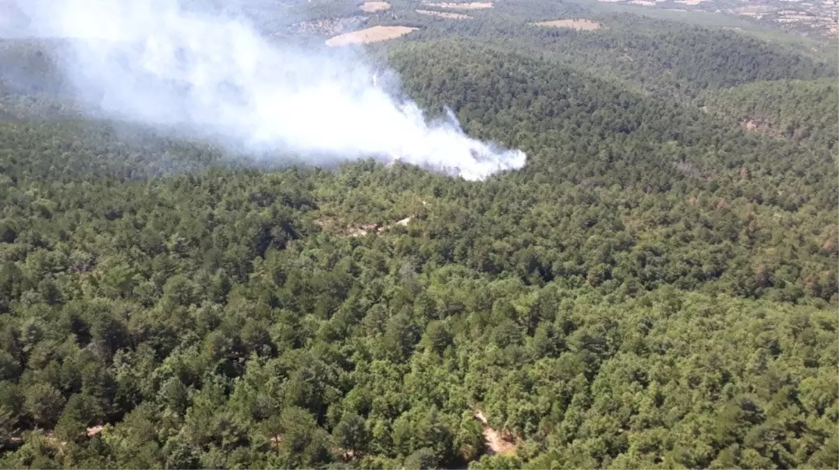 Çanakkale\'de Orman Yangını