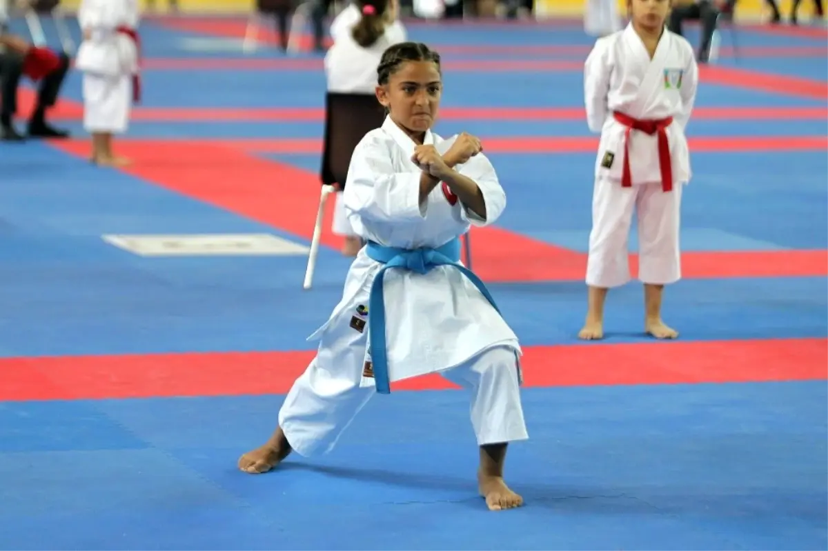 Erzurum\'da Karate Şöleni Başladı