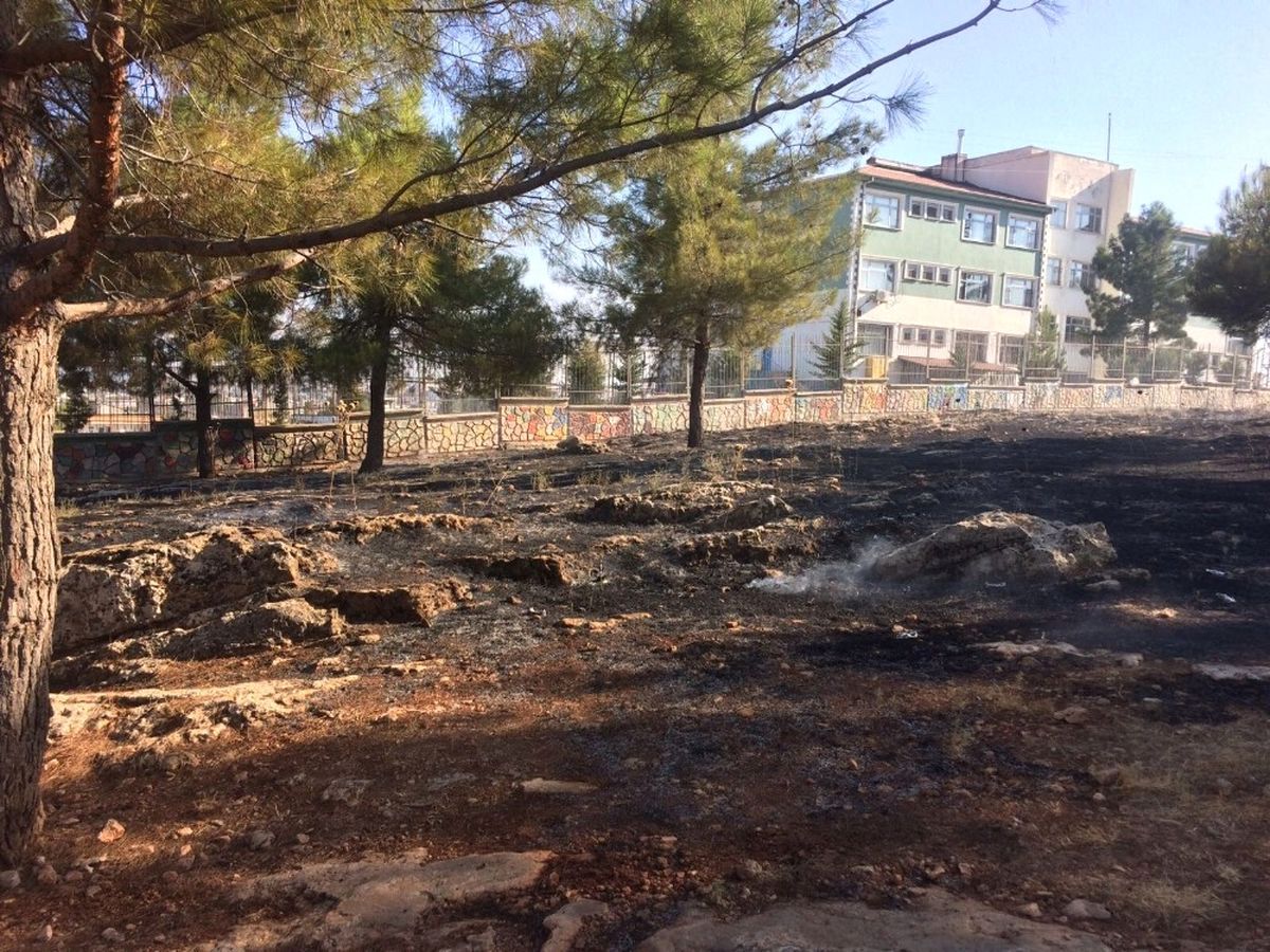 Ot Yangını Ormanlık Alana Sıçradı