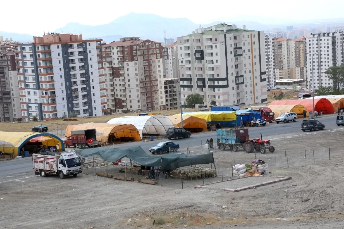 Talas Kurban Pazarı Bayrama Hazır