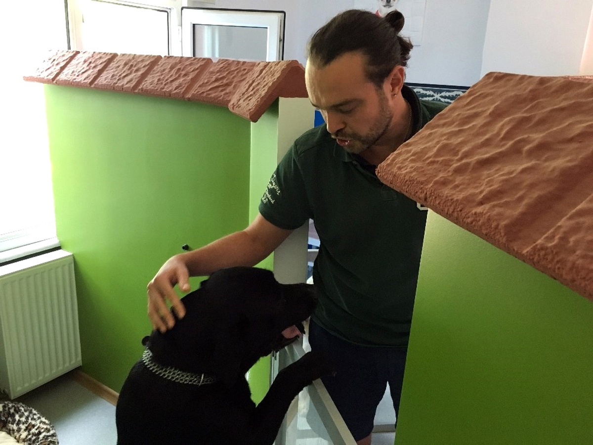 10 Günlük Bayram Tatili Köpek Otellerine Olan Talebi Patlattı