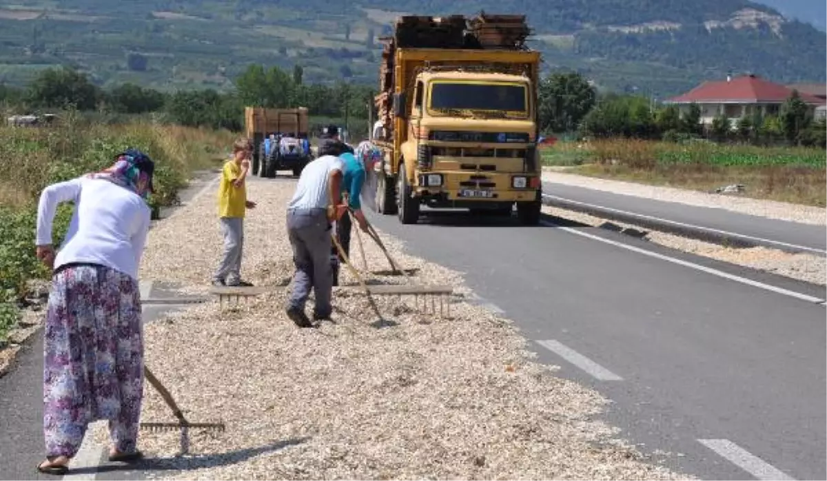 Ayçekirdeği Kurutmak İçin Çevreyolunu Birer Şeridini Kapattılar