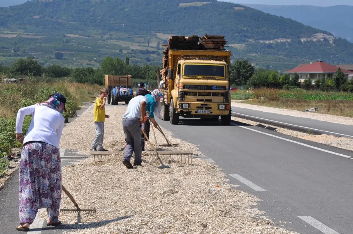 Ayçekirdeğini Kurutmak İçin Çevre Yolunu Kapattılar