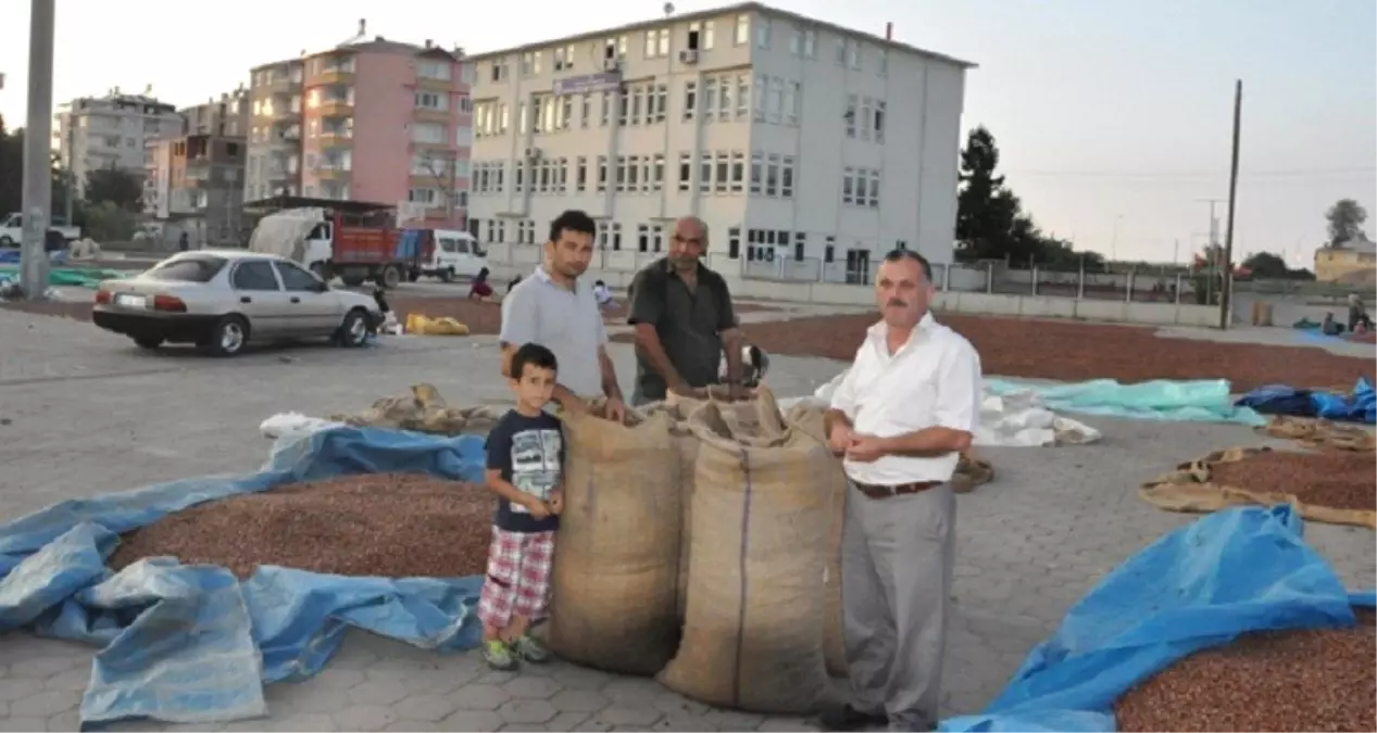 Emniyet ve Jandarma Fındık Hırsızlığına Karşı Vatandaşı Uyardı