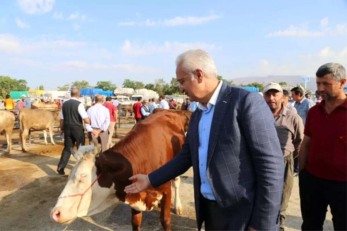 Erzincan Belediyesi Kurban Bayramına Hazır