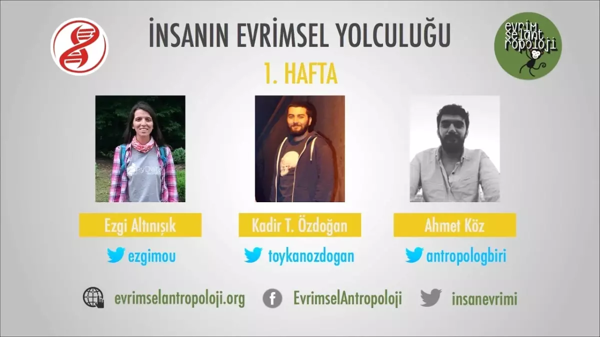 İnsanın Evrimsel Yolculuğu