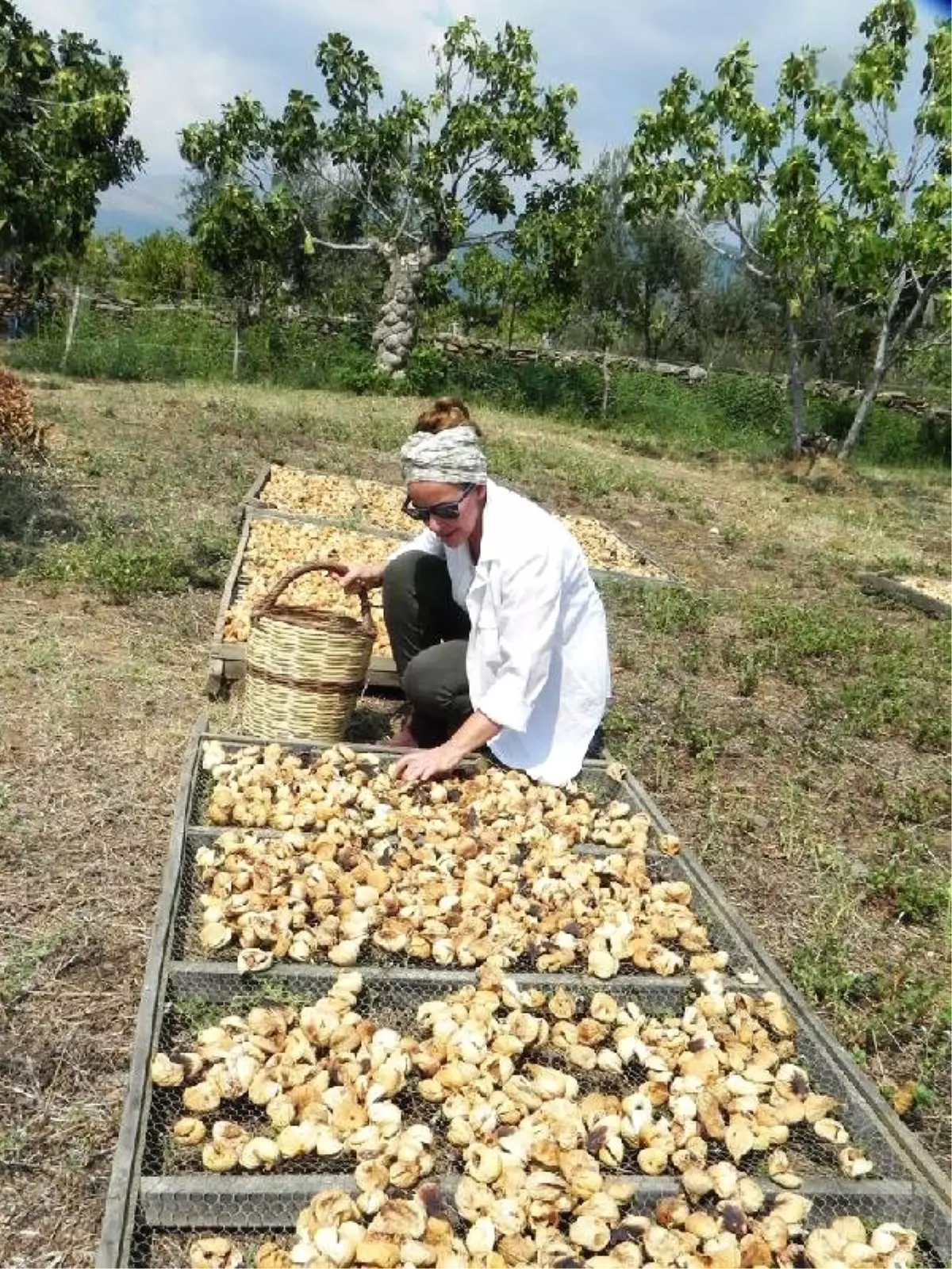 İstanbullu Mimar Keçi Çiftliği Kurarak Markalaştı