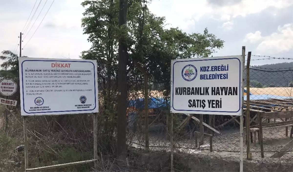 Kdz. Ereğli Belediyesi, Kurban Kesim Fiyatlarını ve Satış Yerlerini Belirledi