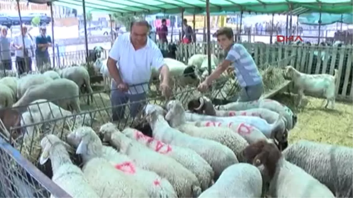 Antalya Marketlere Kurbanlık Eleştirisi