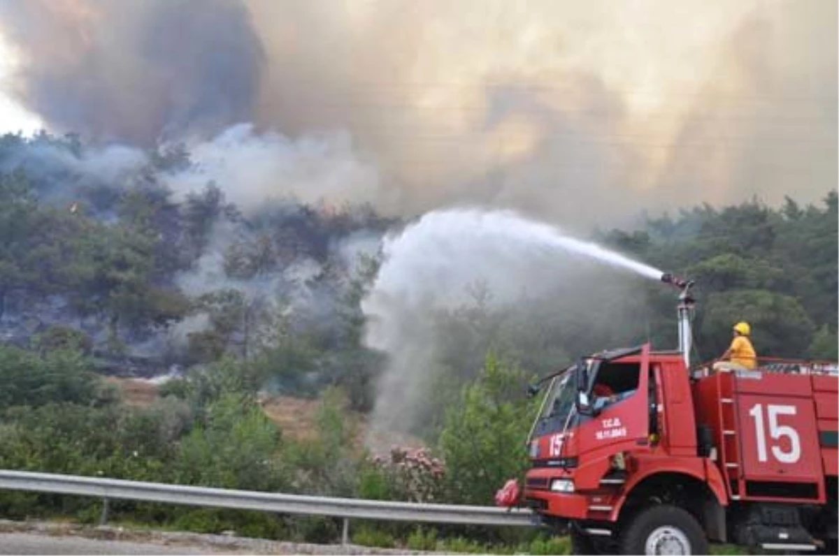Güncelleme - İzmir\'de Zeytinlik Yangını