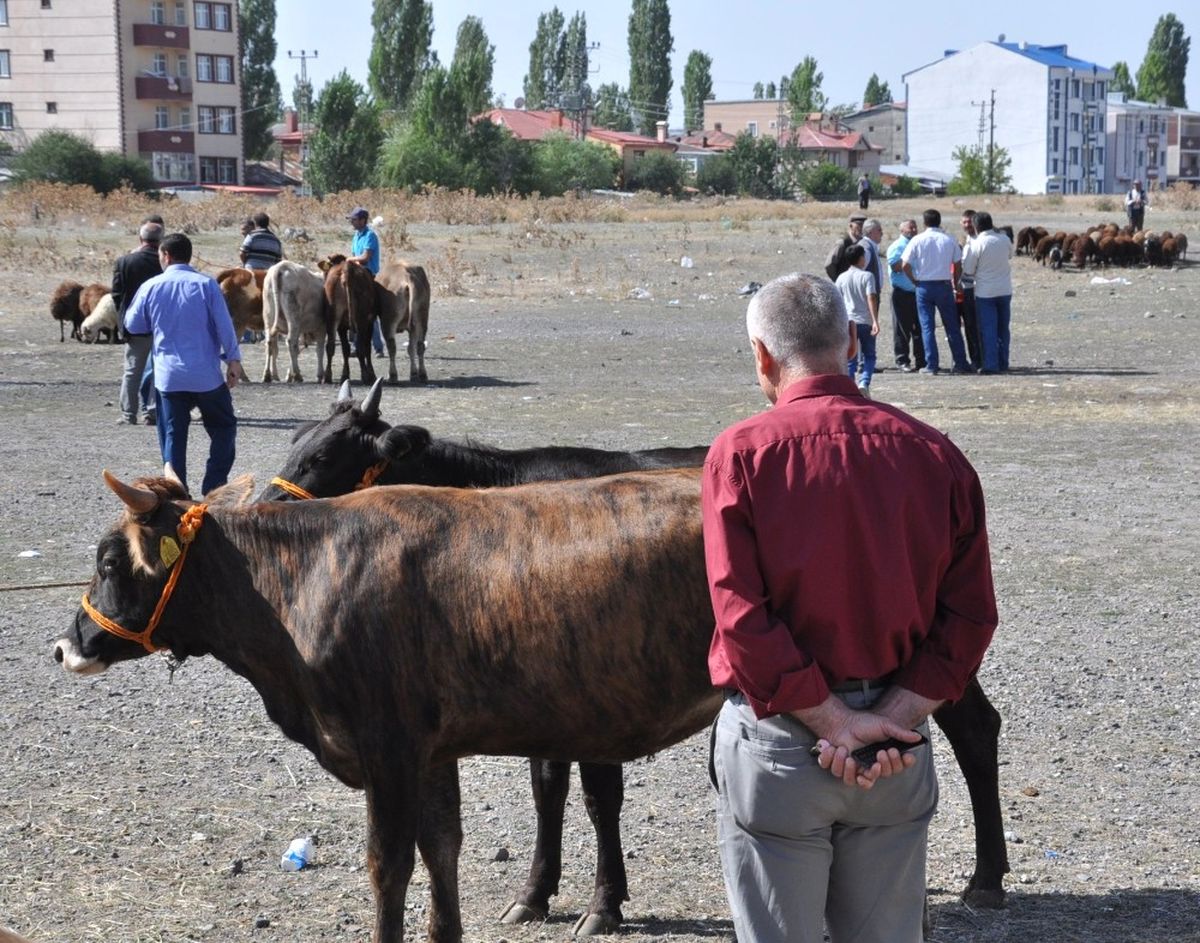 Kars\'ta Kurban Pazarı Kuruldu