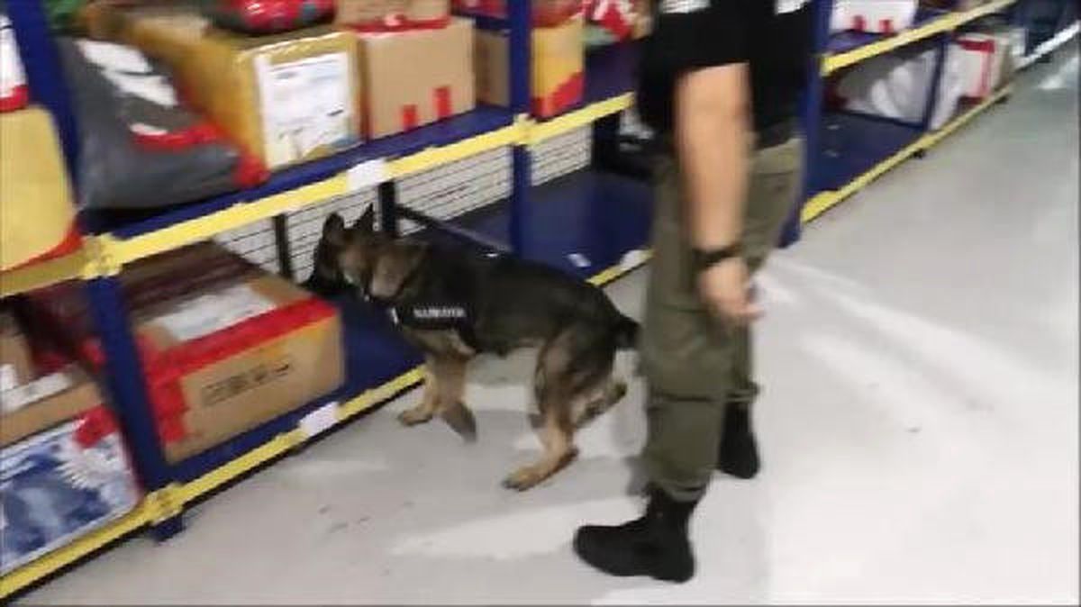 Pikeye Emdirilen 1 Kilo Kokain Ele Geçirildi
