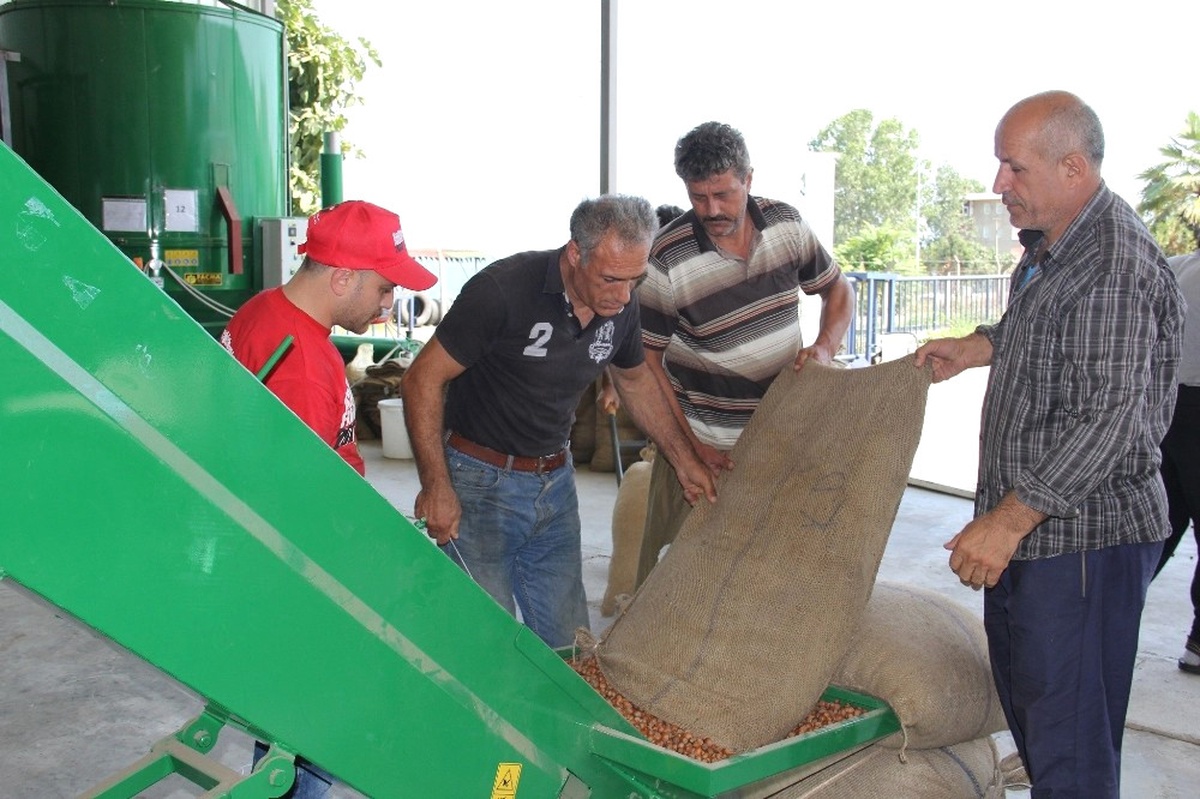 Yağmur, Fındık Kurutma Makinelerine Talebi Arttırdı