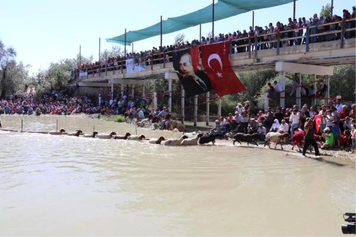 8 Asırlık Gelenekte Kınalı Koçlar Eren İçin Atladı