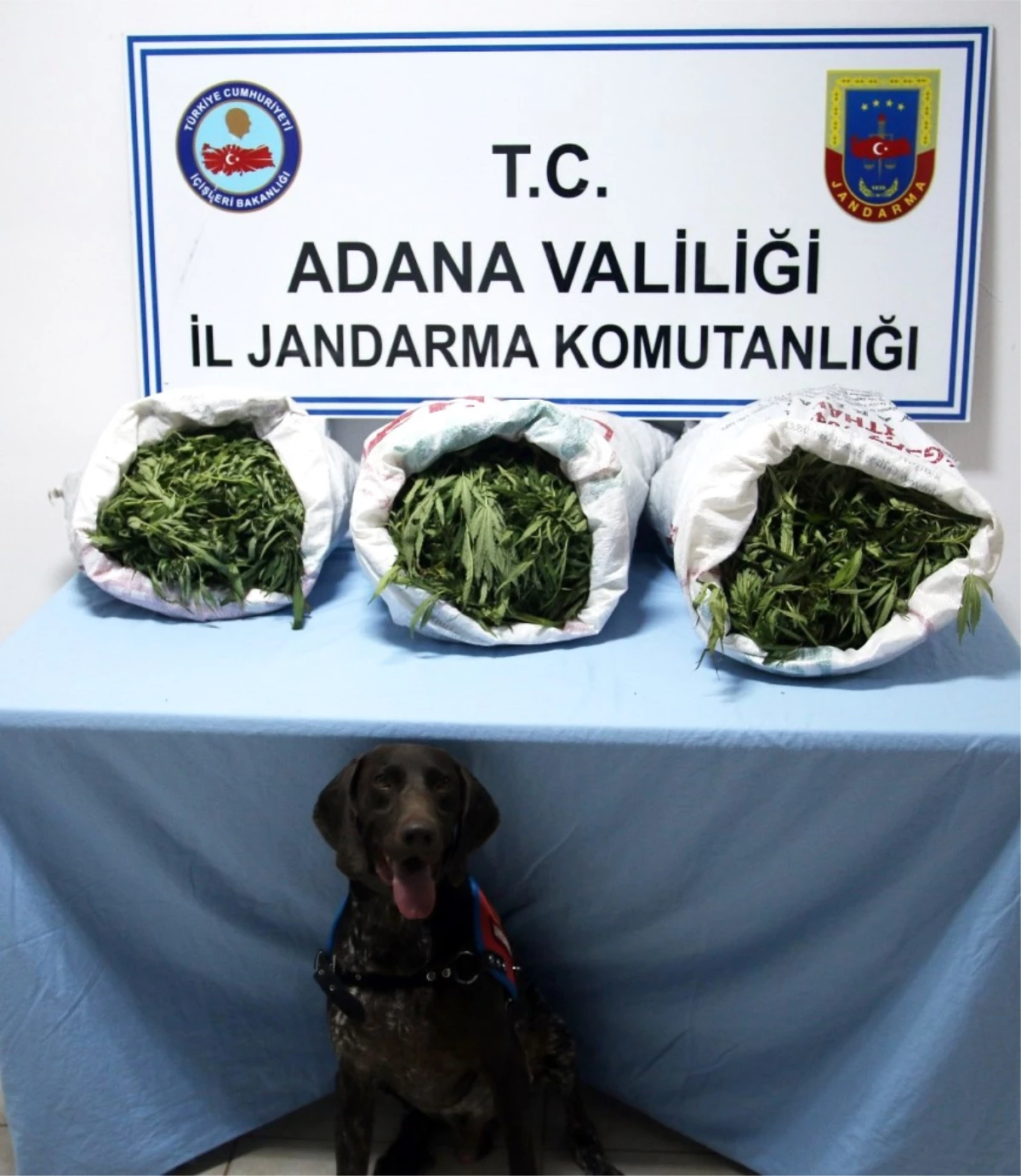 Adana\'da Uyuşturucu ile Yakalanan 4 Kişi Tutuklandı