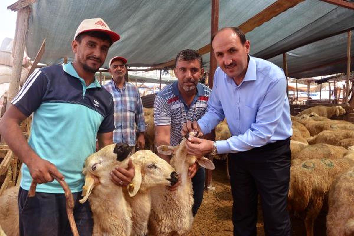 Adana Sağlık Müdürü: Bayramda Sağlıksız Hayvanı Kurban Etmeyin