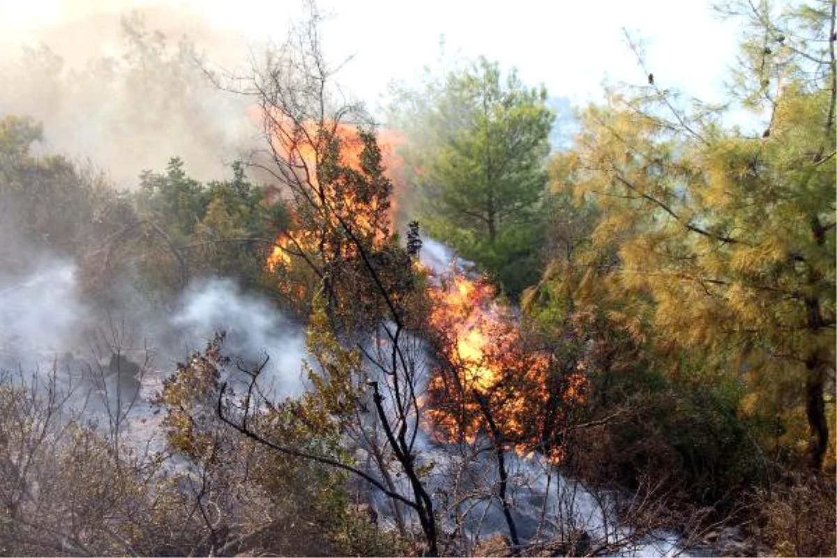 Antalya\'da Orman Yangını (2) - Yeniden