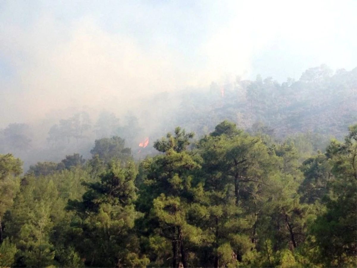 Antalya\'da Ormanı Yangını (1)