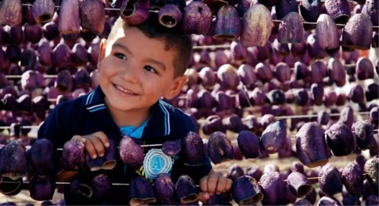 Gaziantep\'in 4 Ürünü Tescillendi