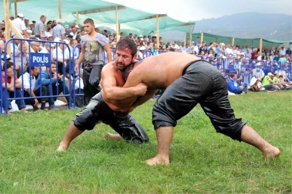 Tekkeköy, Yağlı Güreşlere Hazır