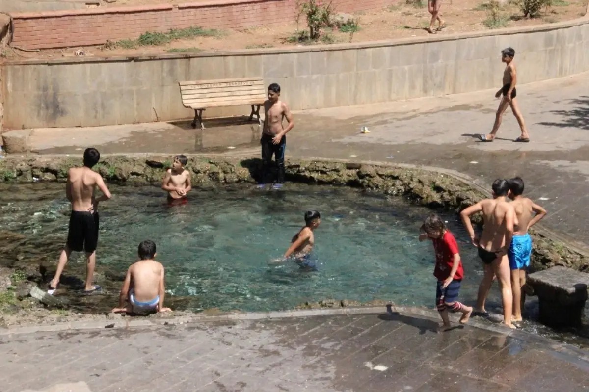 Yasak Tabelası Engel Olmadı