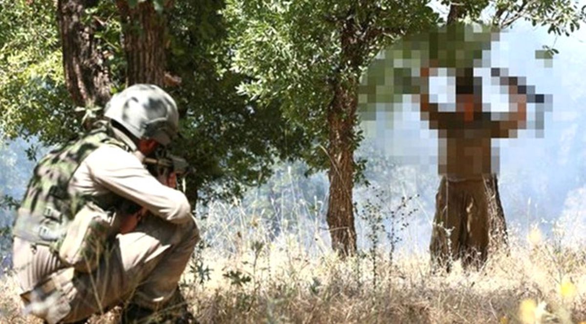 Bingöl\'de Bir Terörist Teslim Oldu