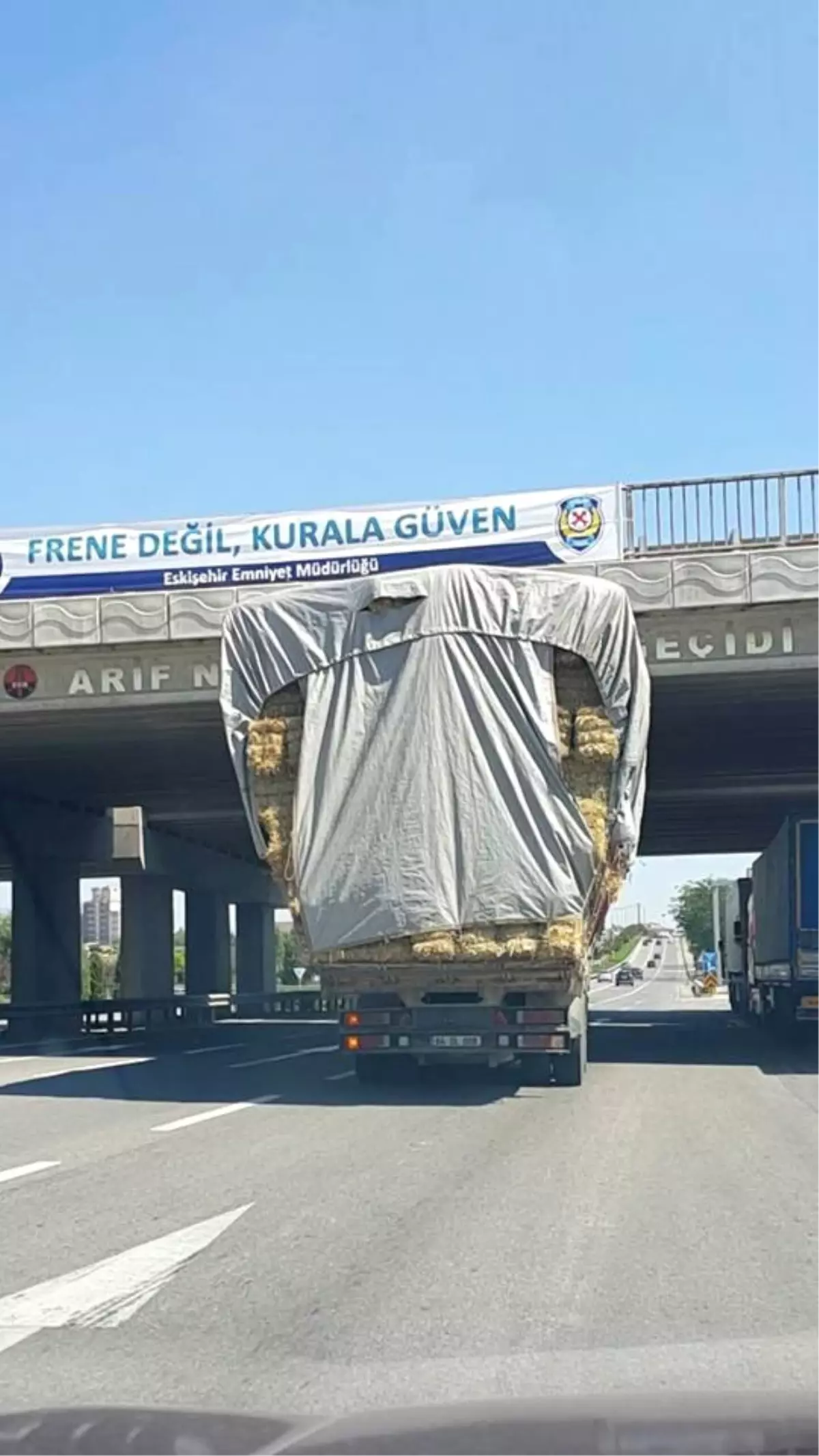 Bu Kadar da Olmaz