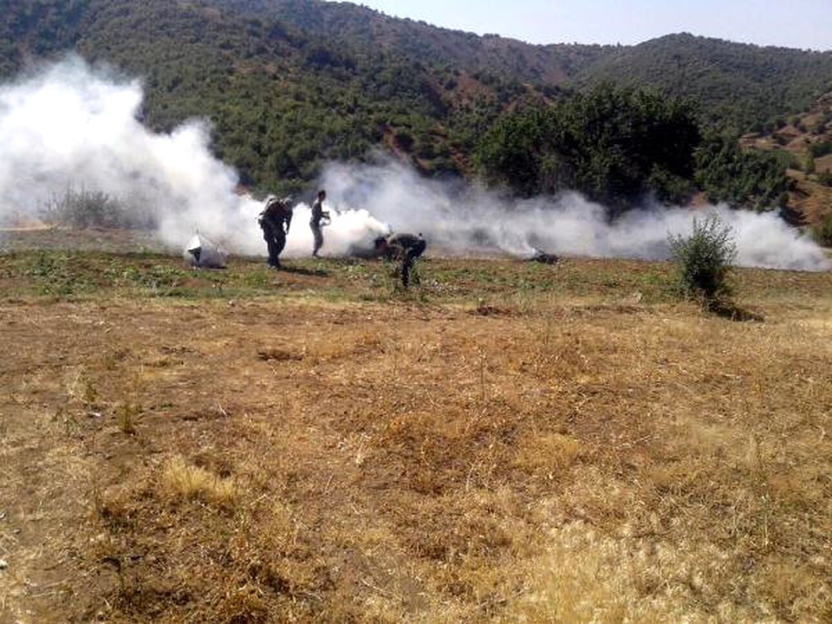 Genç\'te 91 Kilo Esrar, 620 Bin Kök Kenevir Ele Geçirildi