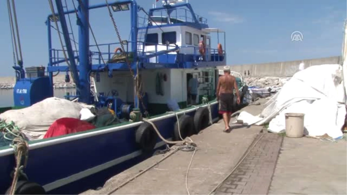 Karadenizli Balıkçılar Yeni Sezondan Umutlu