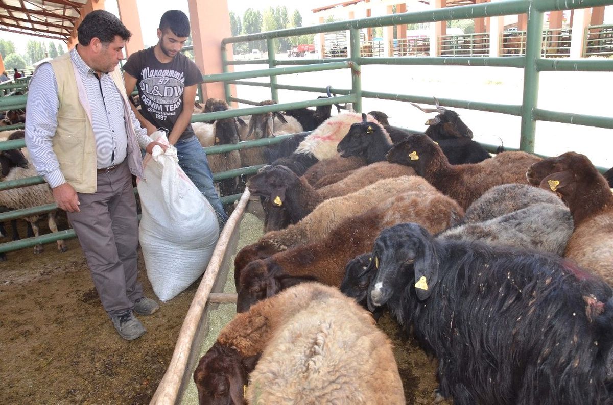 Kurban Pazarında Durgunluk