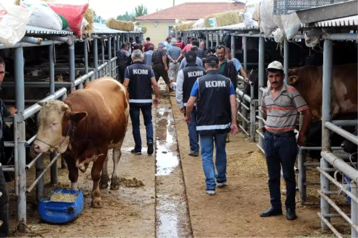 Kurban Satıcılarına Sahte Para Uyarısı