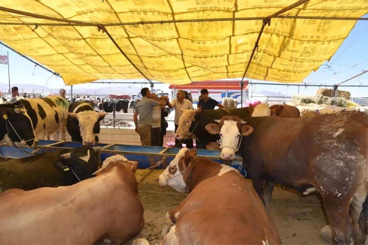 Selçuklu Kurban Pazarında Bayram Bereketi