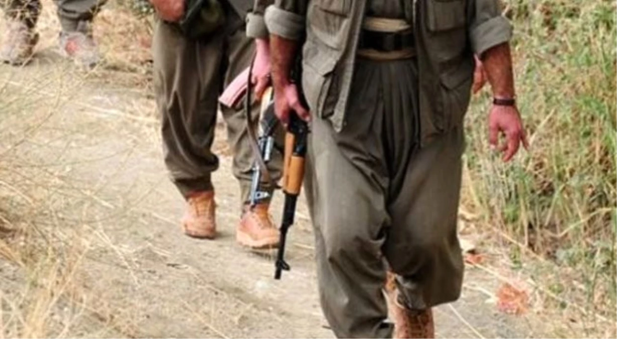 Silopi\'de 2 PKK\'lı Öldürüldü, 6\'sı Teslim Oldu