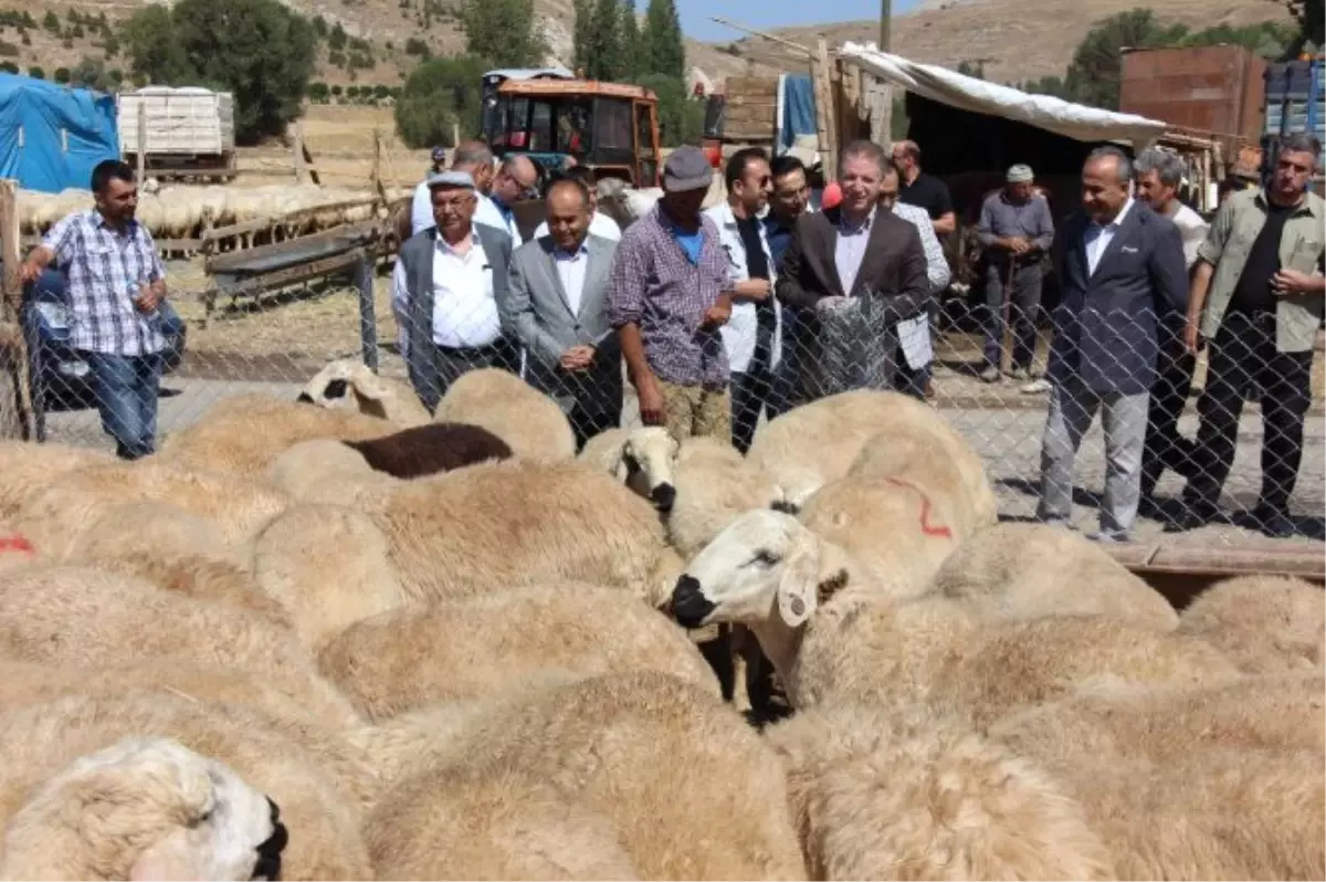 Vali Gül, Kurban Pazarını Ziyaret Etti