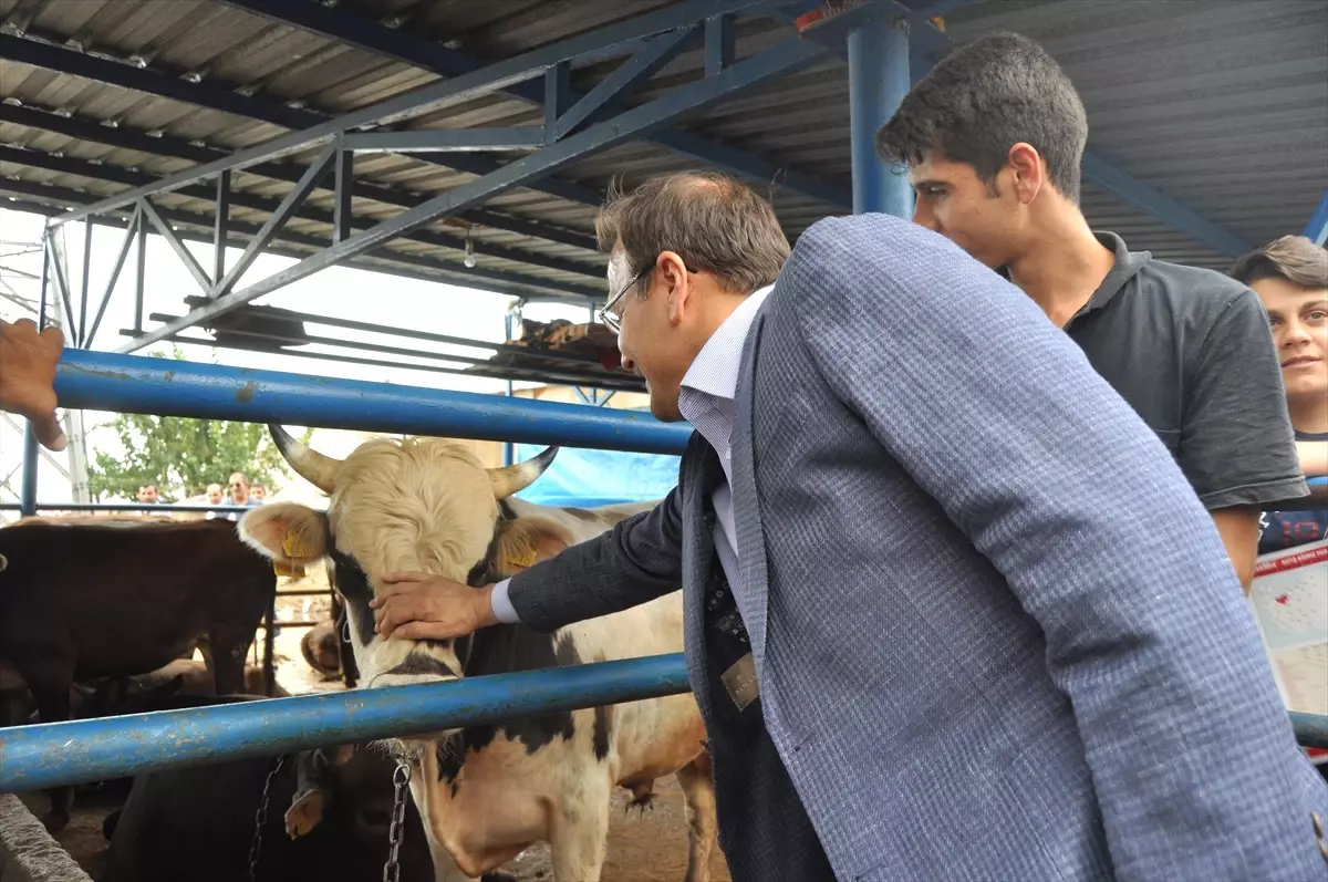 Başbakan Yardımcısı Çavuşoğlu Açıklaması