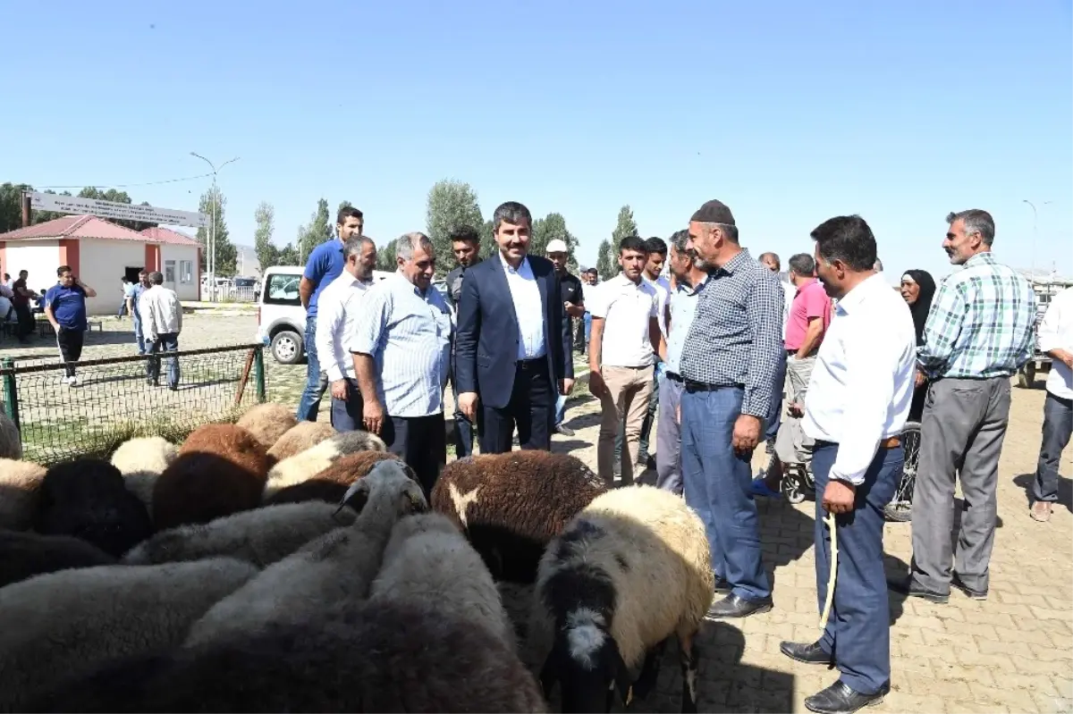 Başkan Asya Canlı Hayvan Pazarını Ziyaret Etti