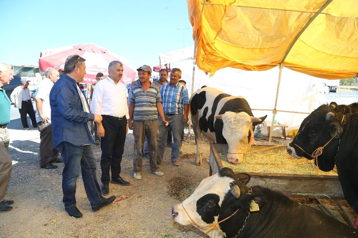 Başkan Çelik Kurban Pazarını Denetledi