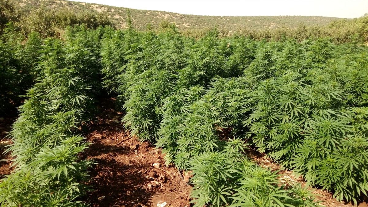 Diyarbakır\'da Uyuşturucu Operasyonları