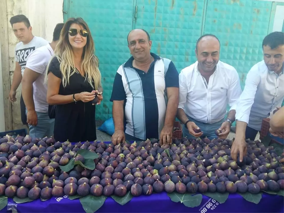 En Güzel İncirler Görücüye Çıktı