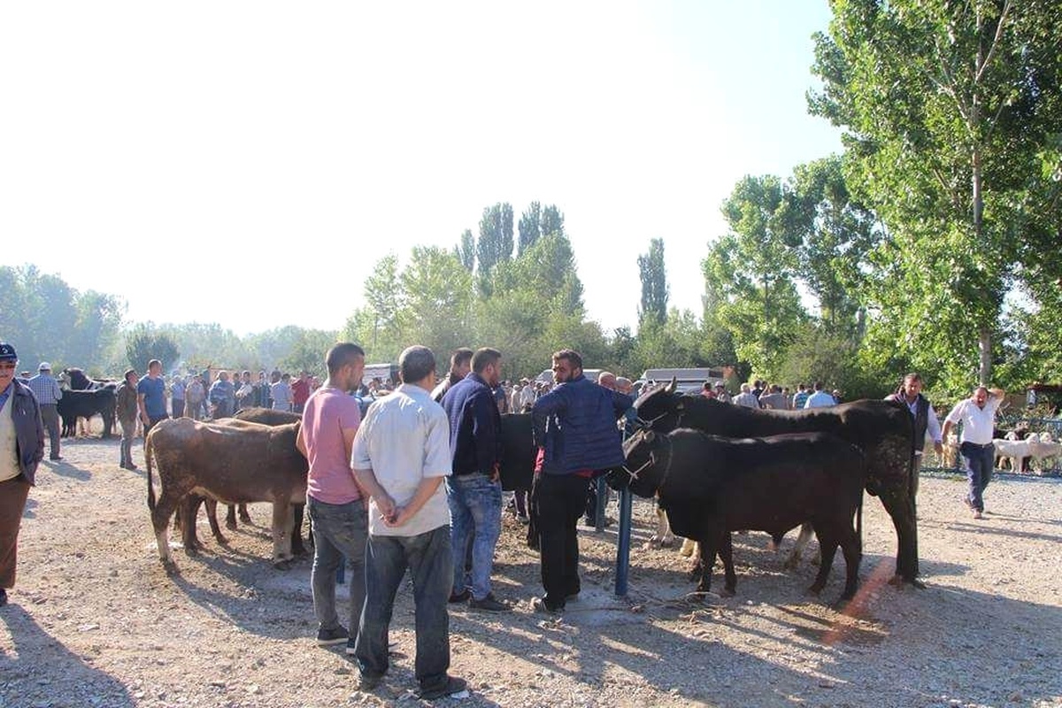 Kurban Fiyatları Bayrama Kısa Bir Süre Kala Düşüşe Geçti
