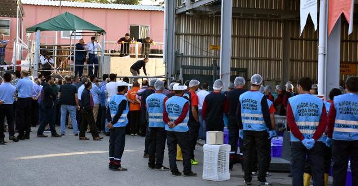 Mahkumların Yetiştirdiği Kurbanlıklar Satışa Çıktı