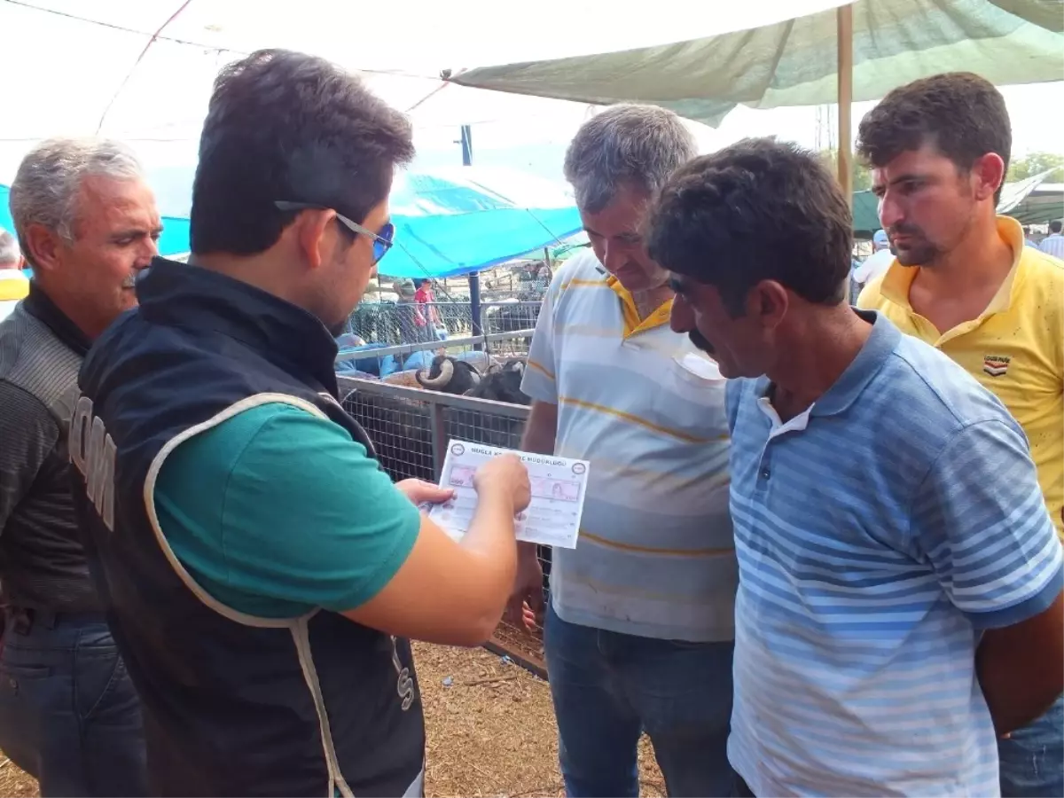 Milas\'ta Vatandaşlar Sahte Paraya Karşı Uyarıldı