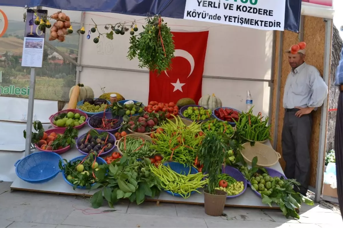 Yenişehir Festivale Hazırlanıyor