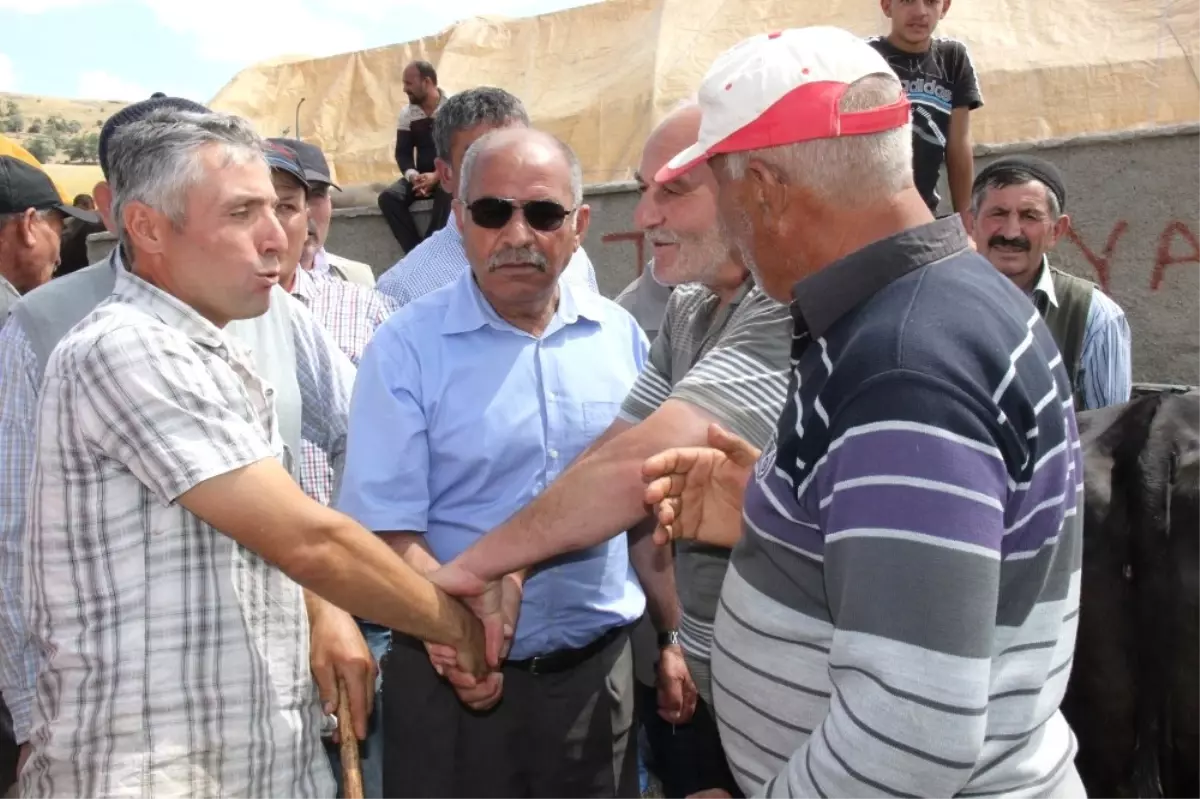 Yozgat\'ta Kurban Pazarında Hareketlilik Yaşanıyor