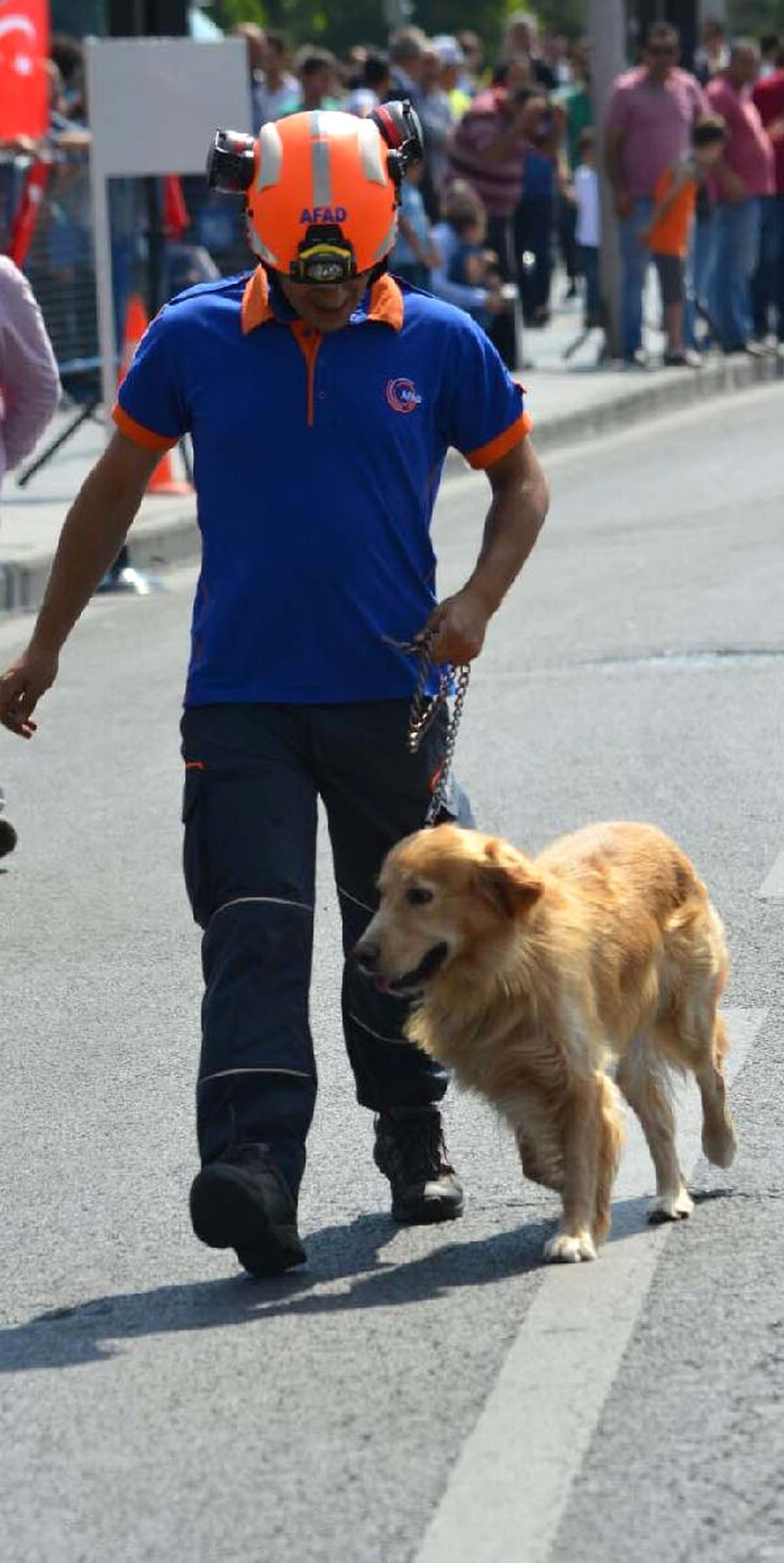 Arama- Kurtarma Köpeği \'Leon\' Bandodan Ürküp Kaçtı