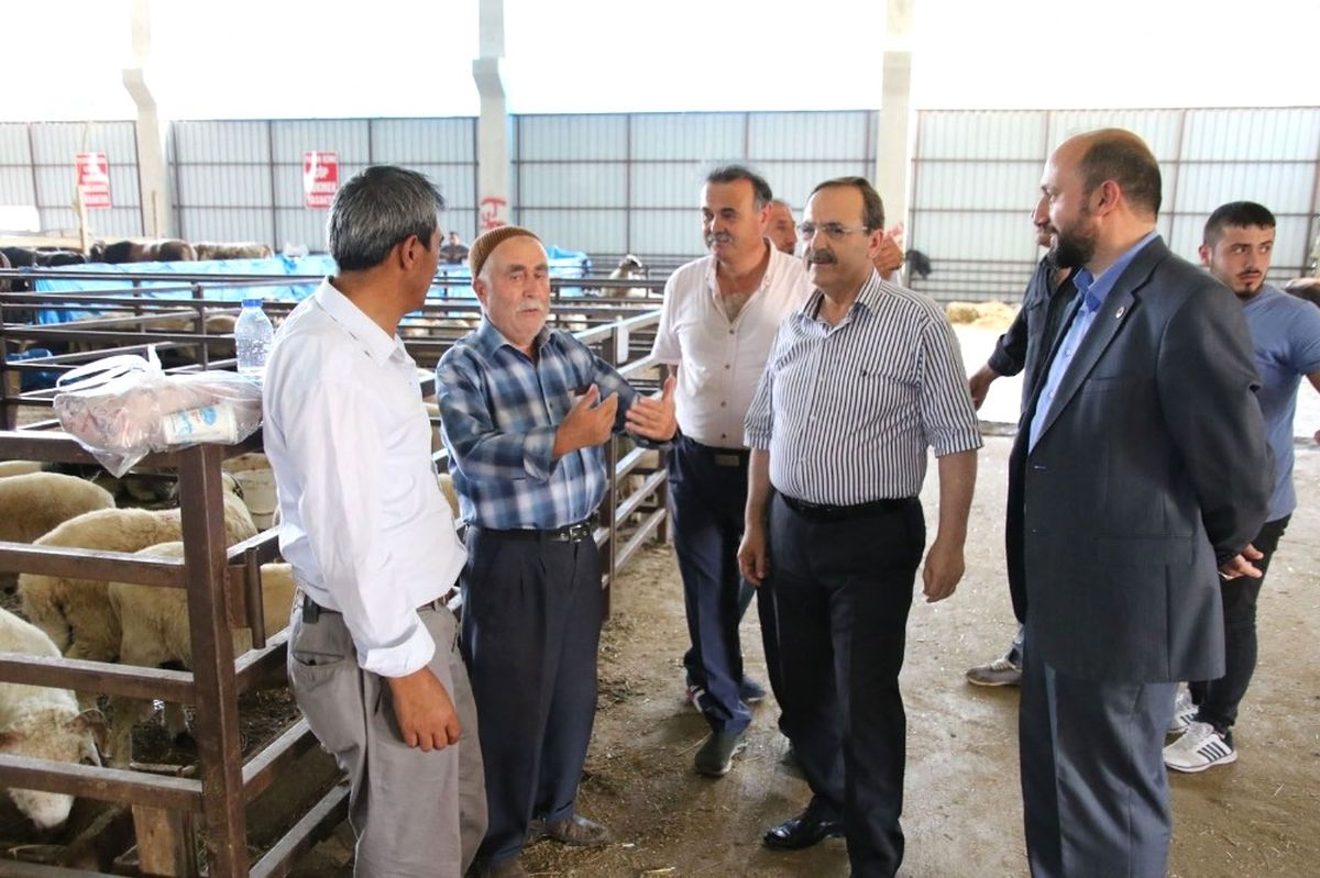 Başkan Şahin, Hayvan Pazarını İnceledi