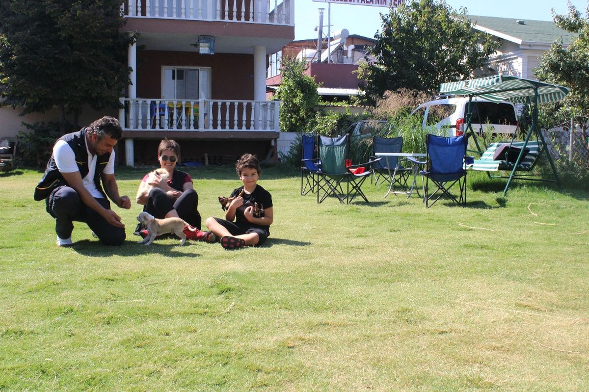 Bayram Tatilinde Köpek Pansiyonları Doldu