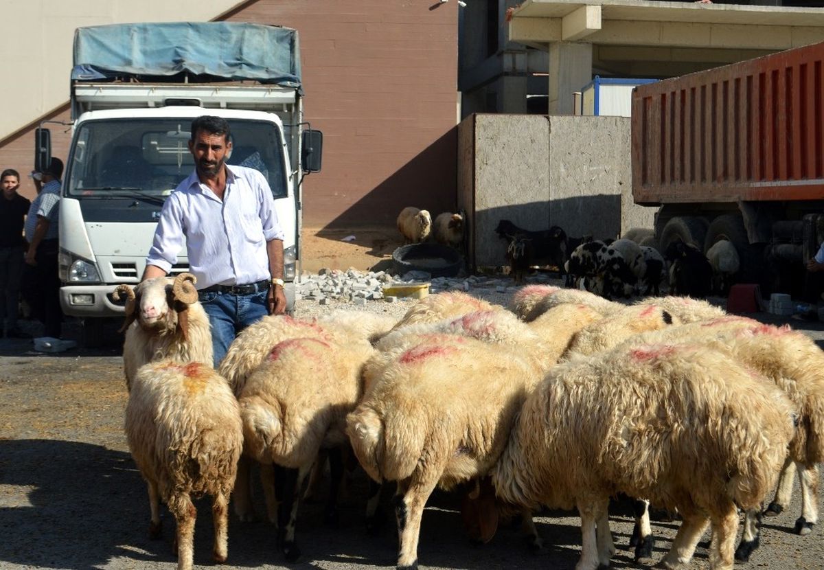 Mardin\'de Kurban Satıcıları Umduğunu Bulmadı
