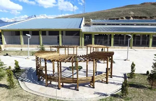 Van Büyükşehir Belediyesi ’Hayvan Bakım Evi’ Açıyor Son Dakika